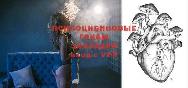 гидра Надым