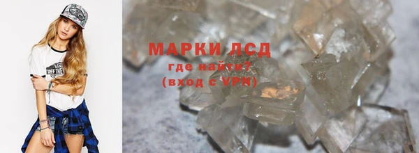 гидра Надым