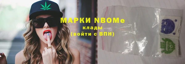 ECSTASY Богданович