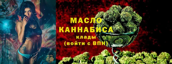 гидра Надым