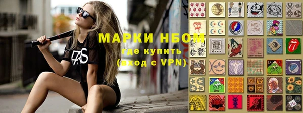 гидра Надым