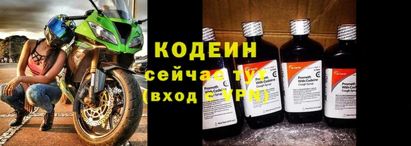 гидра Надым