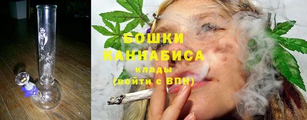 гидра Надым