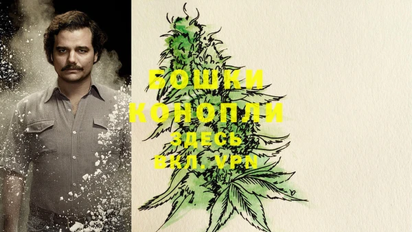 гидра Надым