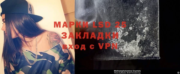 гидра Надым